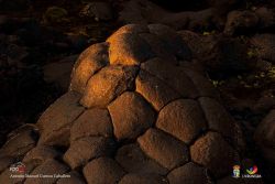 antonio m cuenca caballero l