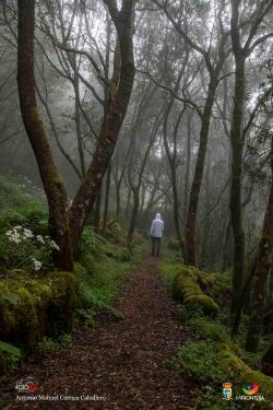 antonio m cuenca caballero l