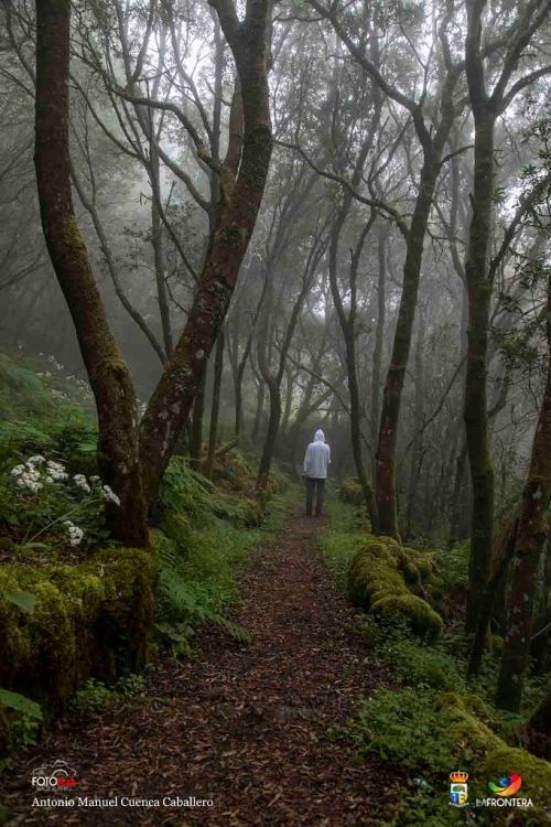 antonio m cuenca caballero l