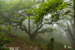 antonio m cuenca caballero l