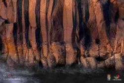 arai alonso melian l