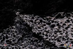 daniel nbrega siverio l