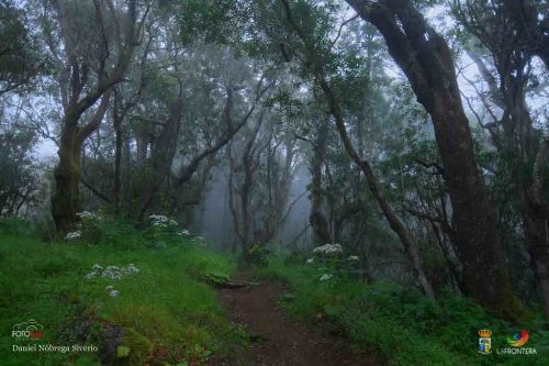 daniel nbrega siverio l