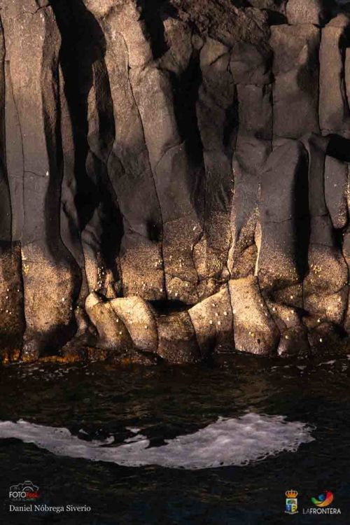 daniel nbrega siverio l