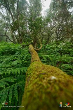 jos luis rodrguez rodrguez l