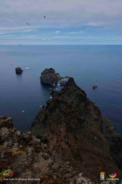 jos luis rodrguez rodrguez l