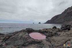 jose juan machin  martin l