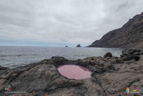 jose juan machin  martin l