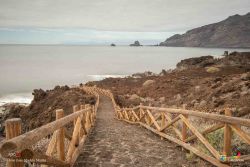 jose juan machin  martin l