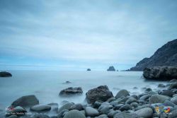 jose juan machin  martin l