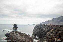 jose juan machin  martin l