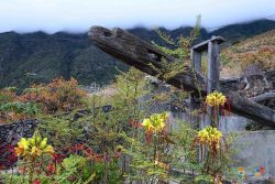 juan carlos padrn quintero l