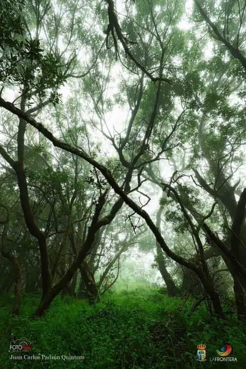 juan carlos padrn quintero l