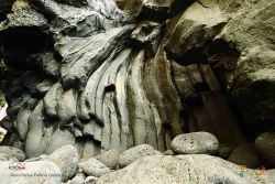 juan carlos padrn quintero l