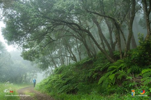 laura romero rodrguez l