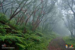 laura romero rodrguez l