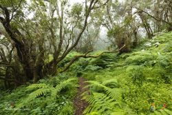 natalia cabrera da costa l