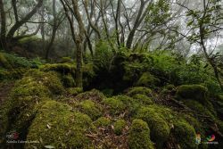 natalia cabrera da costa l