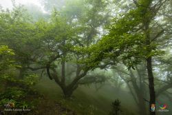 natalia cabrera da costa l