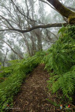natalia cabrera da costa l