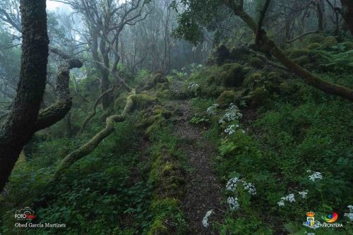 obed garca martnez l