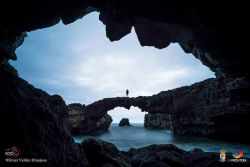 wilmer valdez hinojosa l