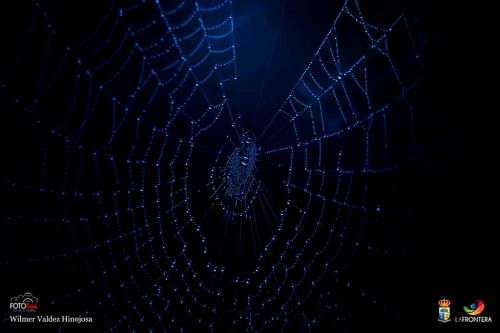 wilmer valdez hinojosa l