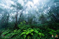 wilmer valdez hinojosa l