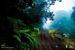 wilmer valdez hinojosa l